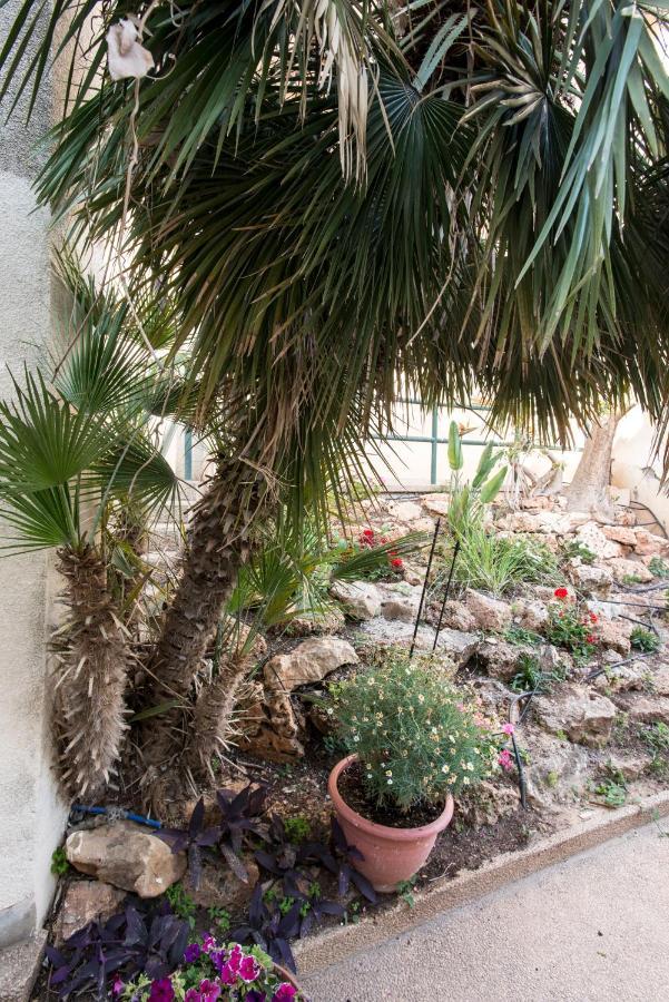 Eshkol Housing Haifa - Luxury Villa Panoramic Sea View Экстерьер фото